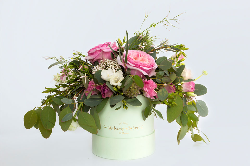 Fotografowanie produktów